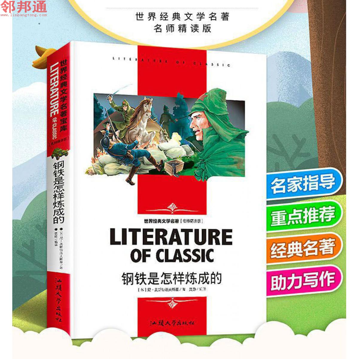 钢铁是怎样炼成的 名师精读版 汕头大学出版社