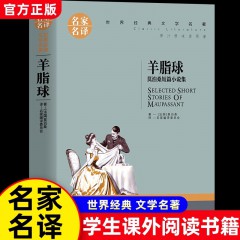 名家名译世界经典文学名著 羊脂球 莫泊桑短篇小说集 堂吉诃德 基督山伯爵 老人与海红与黑 高老头 复活 茶花女 飘 中小学生课外读物 北京日报出版社